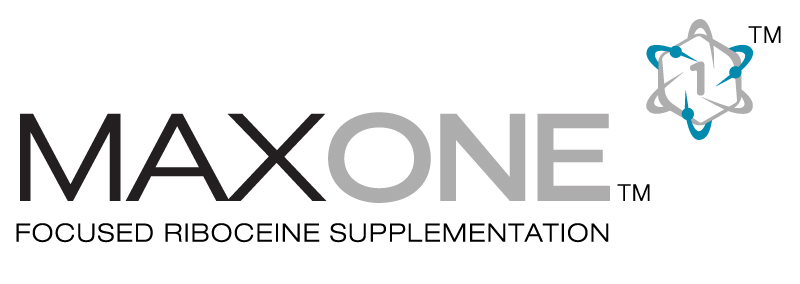 Max-One